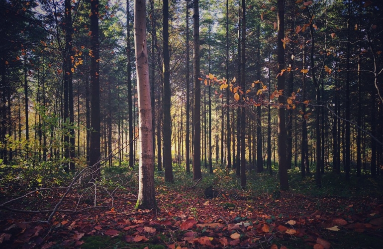 Photo: Leeroy Lugg