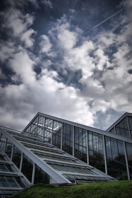 Kew Gardens Hot House